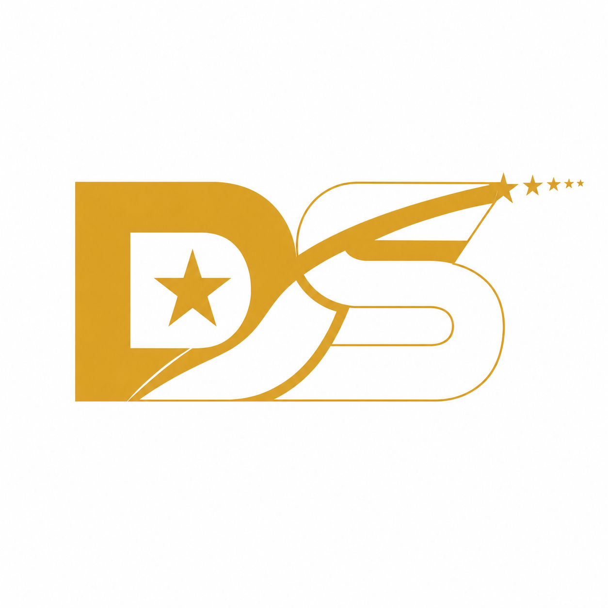 DS RESTAURANT logo